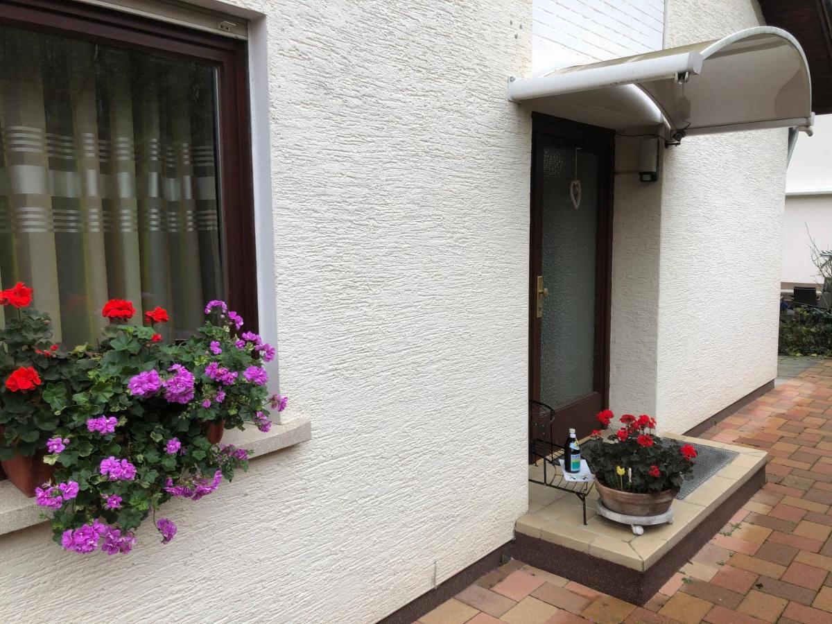 Ferienwohnung Heidelberg Ze-2020-7-Wz Экстерьер фото